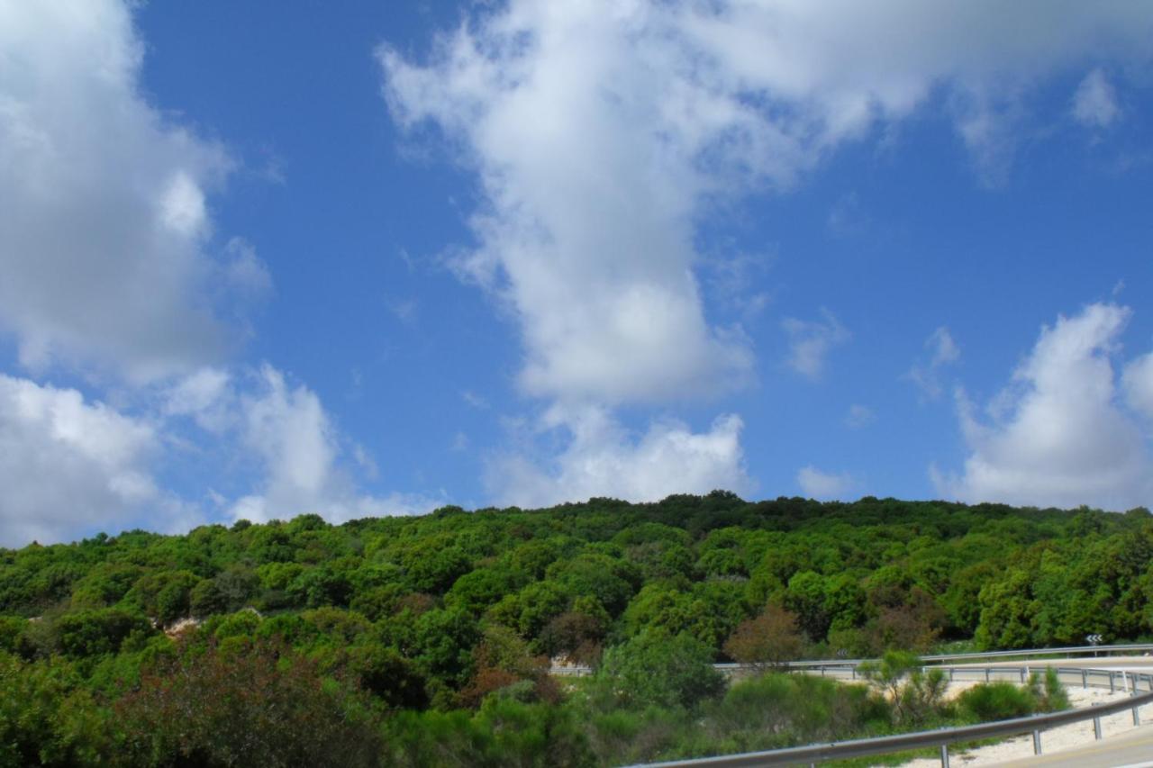 Villa פסגת מתת Pisgat Mattat Exterior foto